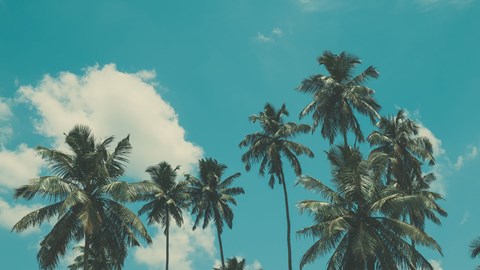 blog post image